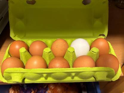 Eier aus Freilandhaltung