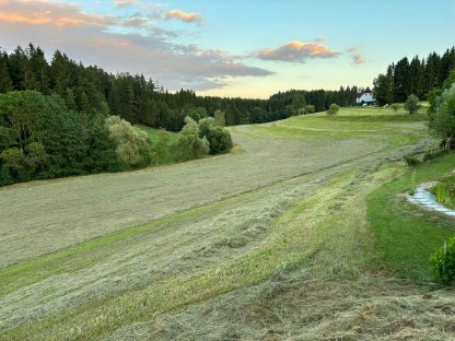 Bild 3:Verkaufe Bio-Pferdeheu 2025 - 1. Schnitt