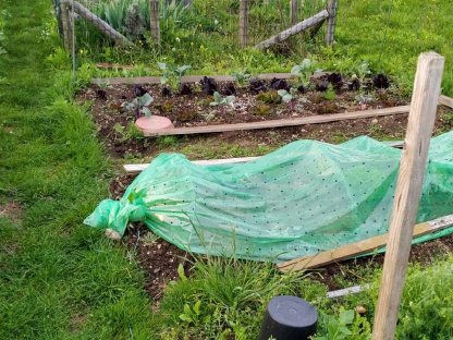 Bild 5:Acker/Wiese für Gartenflächen (Klagenfurt u. Umgebung)