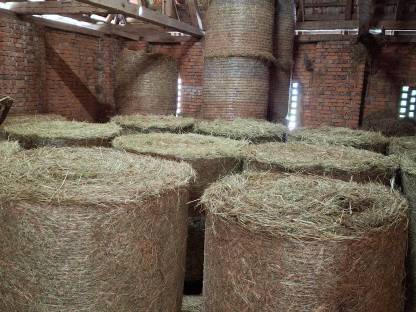 Bild 2:Heuballen 1. Schnitt 2025