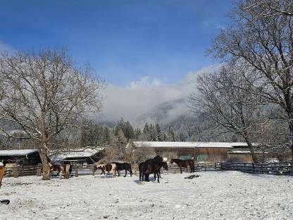 Bild 5:Einstellplatz Oberkärnten