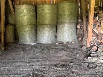 Bild 3:BIO Heuballen 2. Schnitt