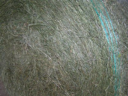 Grummet-Rundballen