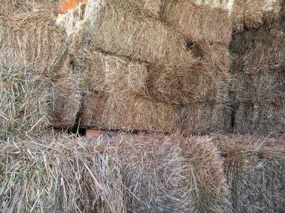 Bild 3:Heukleinballen