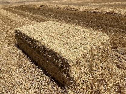 Stroh Vorbestellung Ernte 2025