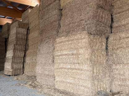 Bild 2:Stroh in Großpacken