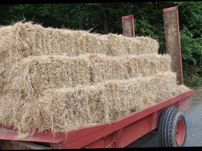 Bild 3:Heu und Stroh