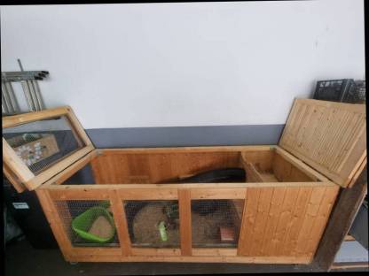 Bild 4:Verschenke Zwerghasen inkl. Käfig