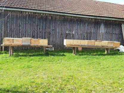 Bienenköniginnen Bio