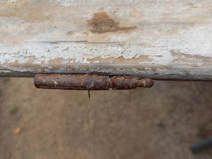 Bild 3:Alte Holztür Deko Balkon Terrasse