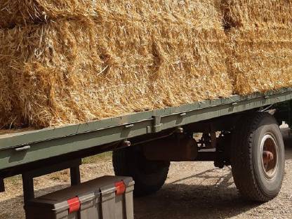 Bild 4:Stroh Ernte 2025