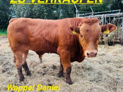 Einsteller - Fresser