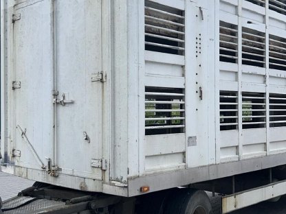 Bild 5:Viehanhänger Zorzi