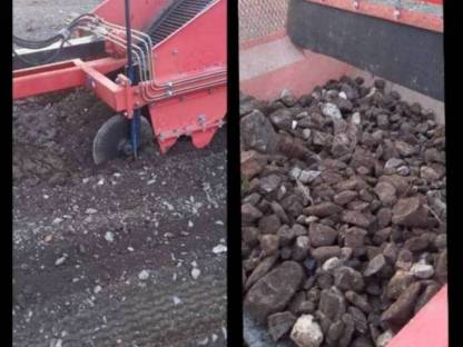 Bild 5:Steinsammler Globus SB 1600