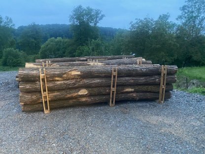 Bild 5:Akazienpfähle