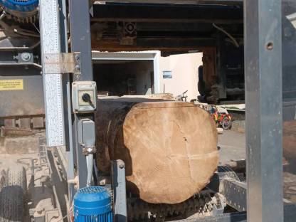 Bild 3:Lohnsägen Sägewerk