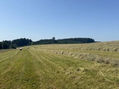 Bild 4:Heurundballen 1. Schnitt 2025