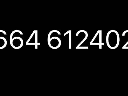 Bild 9:Lindner BF 350 SA