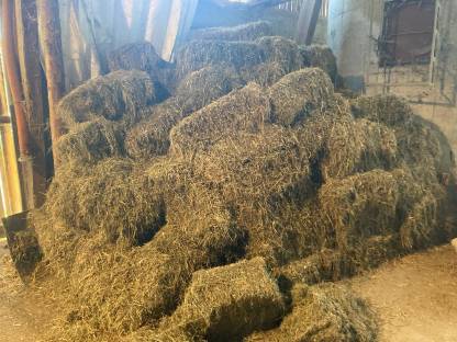 Bild 5:Heu in Kleinballen, 2. Schnitt 2024