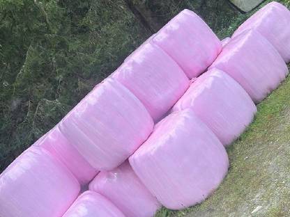 Bild 8:HEU-HEULAGE-SILAGE