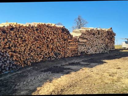 Bild 2:Brennholz