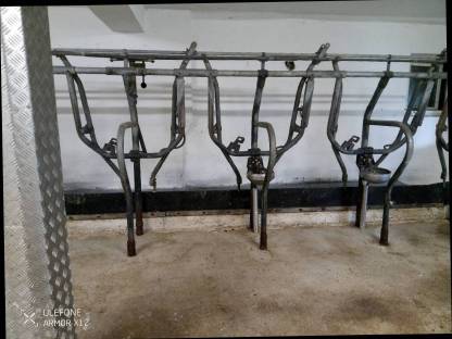 Bild 2:Aufstallung Fa. Braun