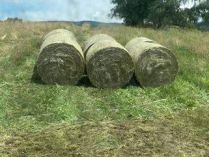 Bild 3:Heu Rundballen