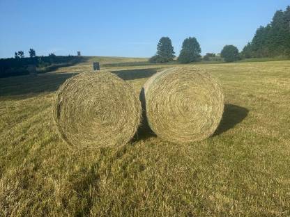 Bild 2:Heurundballen 1. Schnitt 2025