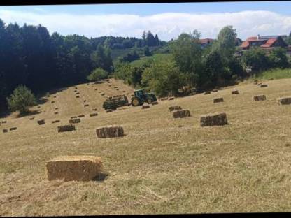 Bild 2:Heuballen klein