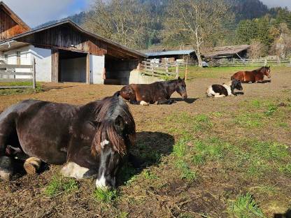 Bild 6:Einstellplatz Oberkärnten