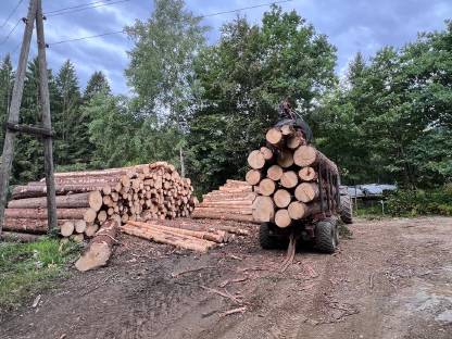 Bild 2:Forstanhänger, Rückeanhänger, Hölzhänger, Krananhänger