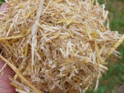 Bild 2:Stroh geschnitten, gemulcht und gemahlen