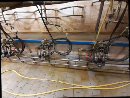 Bild 6:Melkstand DeLaval 2x5