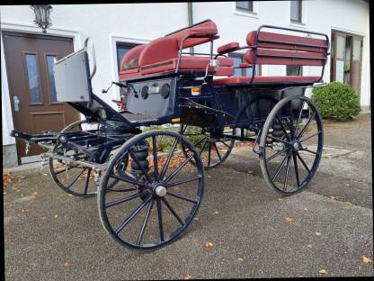 Wagonette für 8 Personen