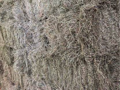 Bild 2:Heu (Kleinquaderballen)