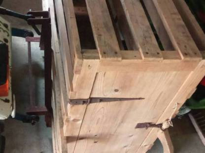 Bild 2:Saustaing Transport Box Junggesellenabschied