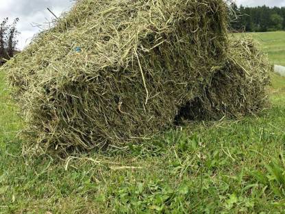 Bild 4:Klee Kleinballen