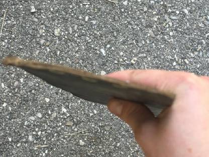 Bild 4:Cannon Schiene