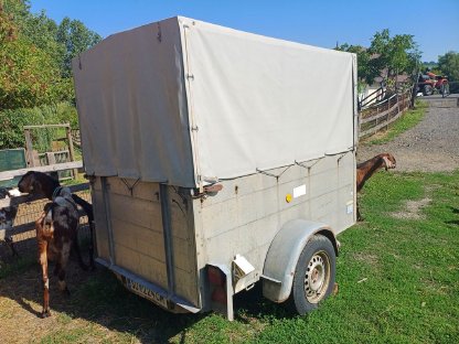 Viehanhänger KFZ Anhänger aus Aluminium