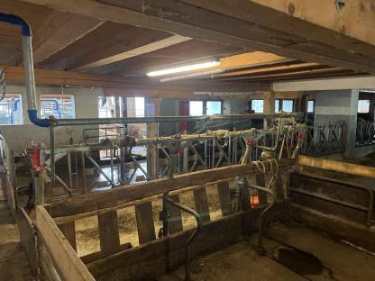 Bild 2:Schauer Halsrahmen