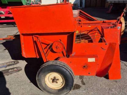 Bild 4:Köla Rivale Brillant