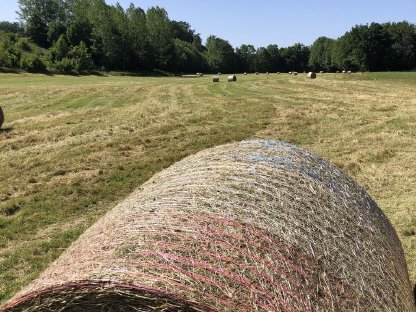 Bio Heurundballen