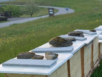 Einheitsmaß Bienenstock