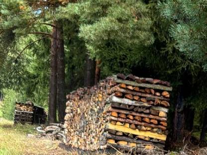 Brennholz
