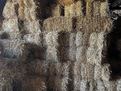 Bild 4:Mini Strohballen