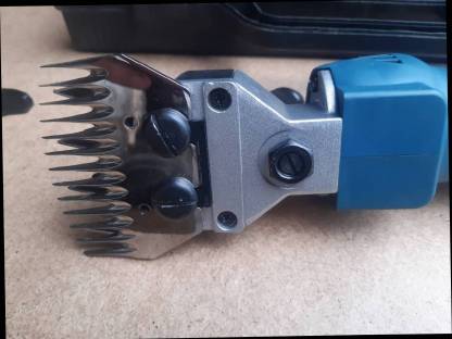 Bild 4:Schermaschine für Schafe