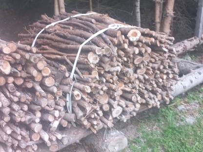 Bild 5:Brennholz in Holzkisten, Holzrundballen Stiebelholz