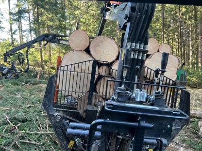 Bild 3:Lohnarbeit Waldrandpflege, Ästeschneiden Holzschlägerung