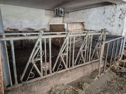Aufstallung, Fressgitter, Liegeboxen, Tränken, Abtrennungen