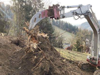 Reißzahn für Bagger 8-10 t Martin / Takeuchi